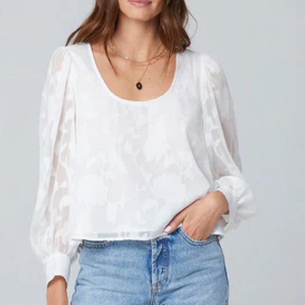 Zarrow Blouse Off-White Sheer Floral Blouse
